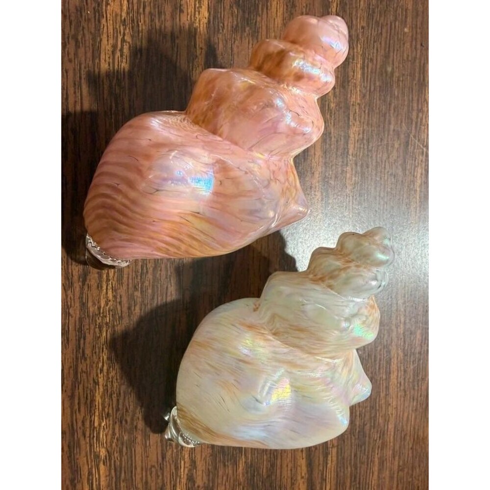 Iridescent Glass Conch Shells - Picture 3 of 6